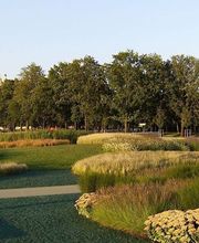 Künzli Gartengestaltung GmbH Bild 3