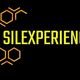 Silexperience