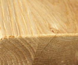Holz Bauer GbR Bild 2