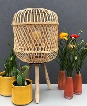 Blumen Kraft Bild 3
