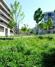 GGZ Gartenbau Bild 1