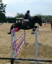 Poney Club de l'Ain Ecurie Chrétien image 2