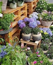 Hertig Fleurs Bild 9