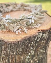 Couleur Nature image 8