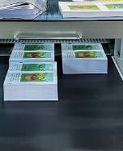 Allegra Marketing Print Mail image 4