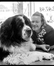 A L'eau Toutou image 14