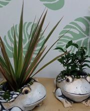 Floristería Flor de Jara imagen 15