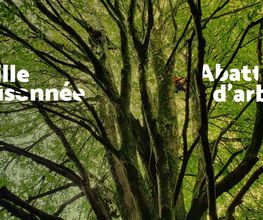 Duo Des Cimes image 6
