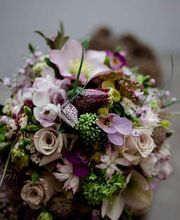 Blumenhaus Wasser Bild 4