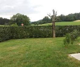 Baron Frederic image 10