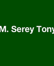Serey Tony image 6