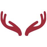 Logo der Hubertus-Apotheke