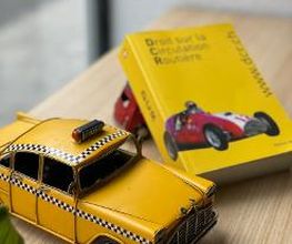 AEL - Auto-Ecole Genève Lémanique Bild 7