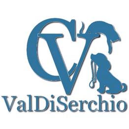 Clinica Veterinaria Valdiserchio logo