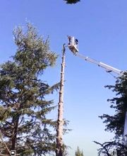 Lacroix David image 10