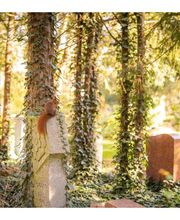 Genossenschaft Kölner Friedhofsgärtner eG Bild 2