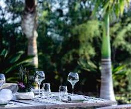 Royal Hideaway Corales Suites imagen 16