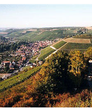 Störrlein Krenig Bild 4