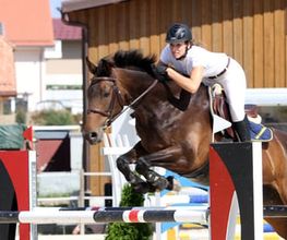 Manège de la Sallivaz & Poney club Bild 3