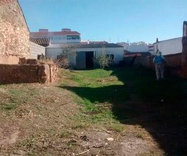 ecojardines-trabajos-05.jpg