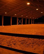 Ecurie Du Pays D'orthe image 7