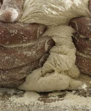 Echte Bakker Ewals