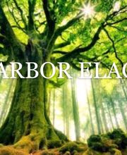 Arbor Elag image 12
