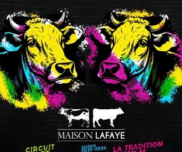 Maison Lafaye image 5