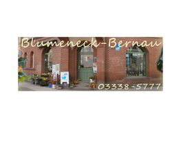 Blumeneck Brondke Bild 1