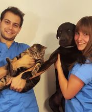 centro veterinario azuqueca imagen 10