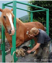 Henrotay Gilles image 1