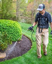 Four Seasons Pest Control image 10