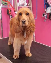 O'poils By Delphine image 6