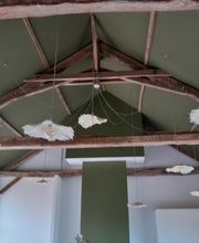 Testut Thierry image 6