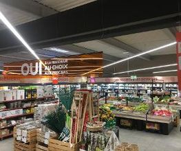 Netto Saint-Vallier image 7