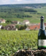 Champagne Gobancé et Fils image 16