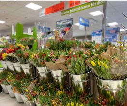 Lidl Bild 2