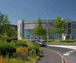 Seba 15 image 1