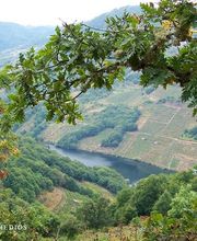 Virxen Dos Remedios imagen 5