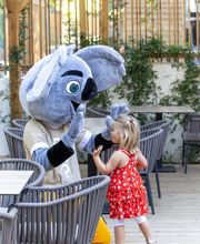 Camping Sandaya Les Jardins de Privas image 11