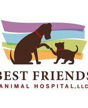 Best Friends Animal Hospital image 1