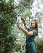 TOP Dienstleistungen Augsburg Bild 1