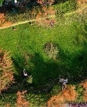 Graf Gärten GmbH Bild 1