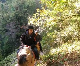 Ferme Equestre De Daoudou image 3