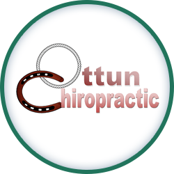 Ottun Chiropractic PC