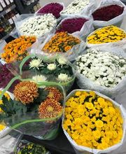 SUPERMARCHÉ G20 image 4