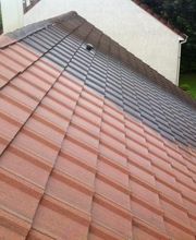 Stevenart David image 9