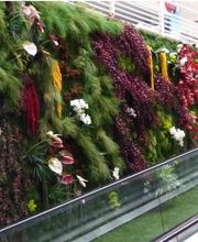 Vertical Flore image 1