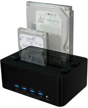 Vander Brigghe Marc image 2