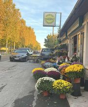 Pompes Funèbres Ruelle Michaut image 5